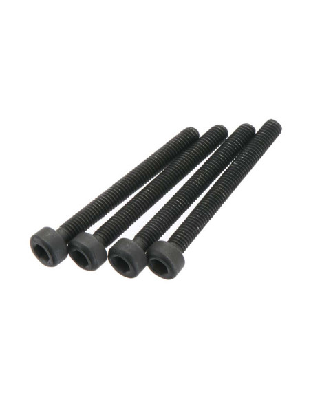 Cap Head Screw 3x28mm (4)