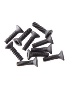 Flat Head Screw 2x8mm (10)