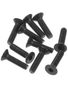 Flat Head Screw 3x12mm (10)