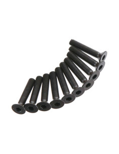 Flat Head Screw 3x16mm (10)