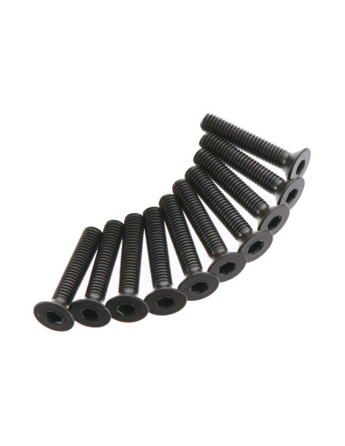 Flat Head Screw 3x16mm (10)