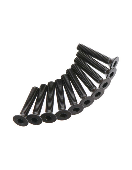 Flat Head Screw 3x16mm (10)