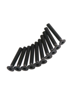 Flat Head Screw 3x20mm (10)