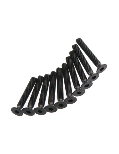Flat Head Screw 3x20mm (10)