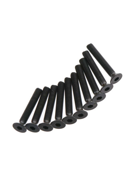 Flat Head Screw 3x20mm (10)