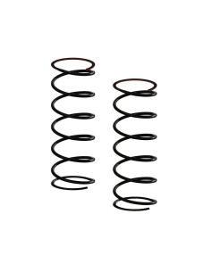 Front Shock Spring (2)