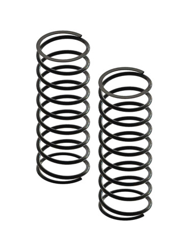 Front Shock Spring (2): 4x4