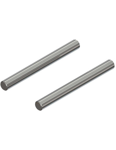 AR330456 Hinge Pin 4x40mm (2): 4x4