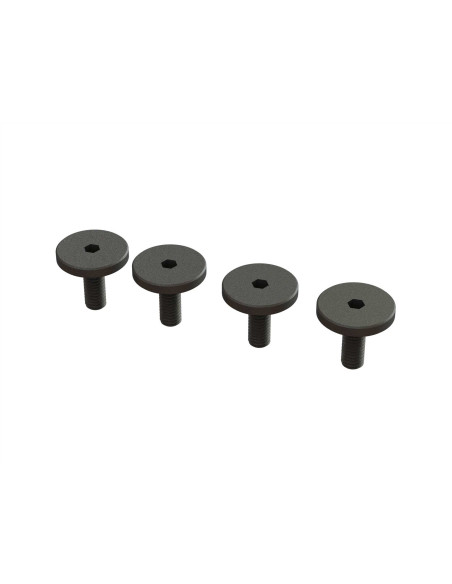 Large Head Screws  M3x8mm (4)