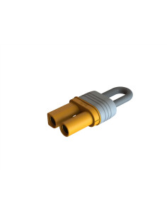 Loop Connector: IC5
