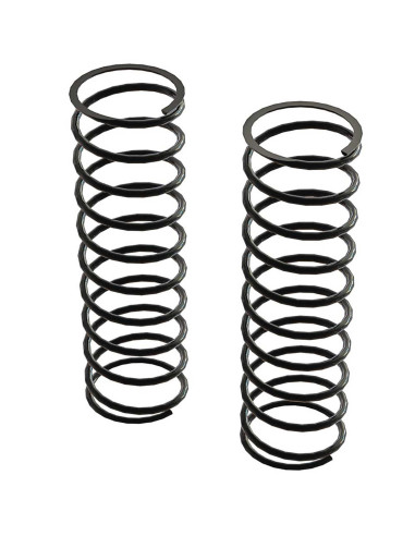 Rear Shock Spring (2): 4x4