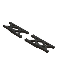 Rear Suspension Arms (2)