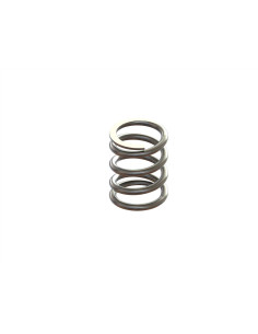 Servo Saver Spring 12x20mm...