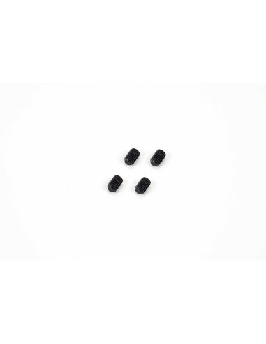 Set Screw  M4x6mm (4): EXB