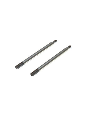Shock Shaft 6x95mm (2)