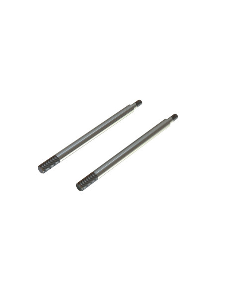 Shock Shaft 6x95mm (2)