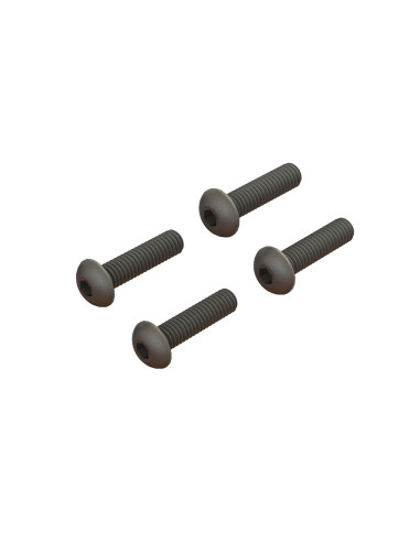 Button Head Screw M4x16mm (4)
