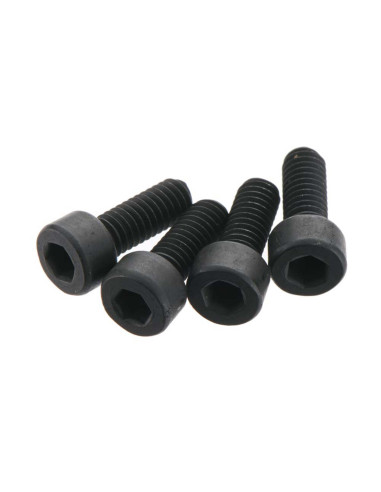 Cap Head Screw 4x10mm (4)