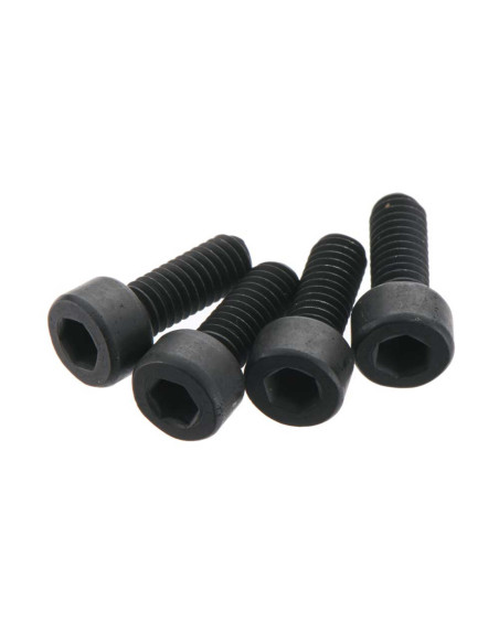 Cap Head Screw 4x10mm (4)