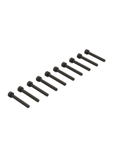 Cap Head Screw M2.5x20mm (10)