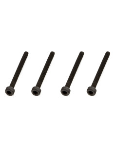 Cap Head Screw M2.5x25mm (4)