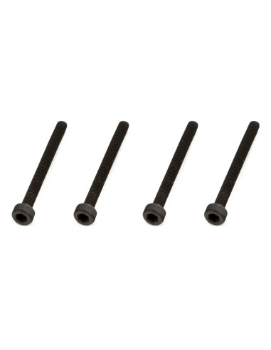 Cap Head Screw M2.5x25mm (4)