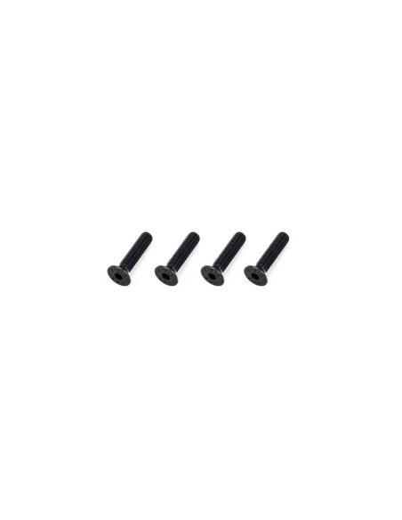 Flat Head Hex Machine Screw M4x18mm (4)