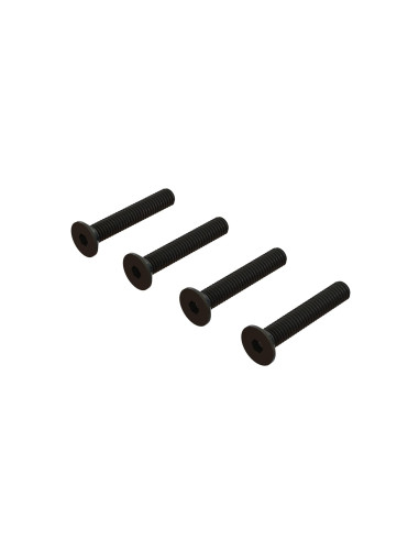 Flat Head Hex Machine Screw M4x24mm (4)