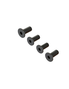 Flat Head Screw M4x10mm (4)