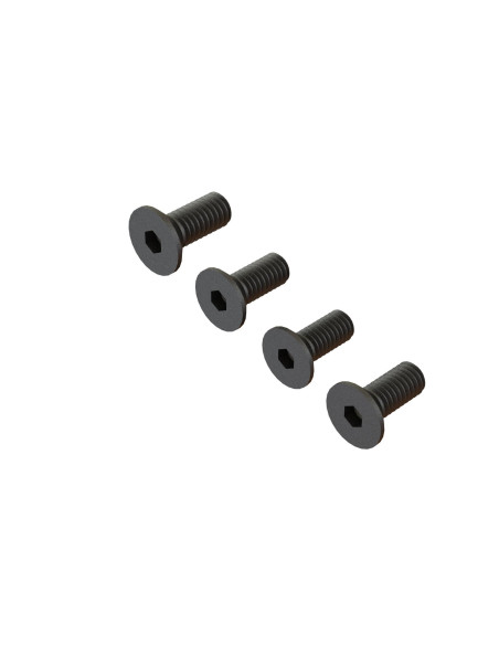 Flat Head Screw M4x10mm (4)