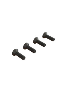 Flat Head Screw M4x14mm (4)