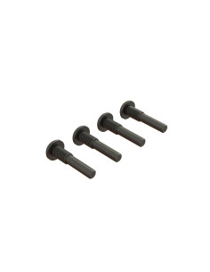 King Pin Screw M5x22mm (4pcs)