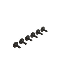 Large Head Screw M3x10mm (6)