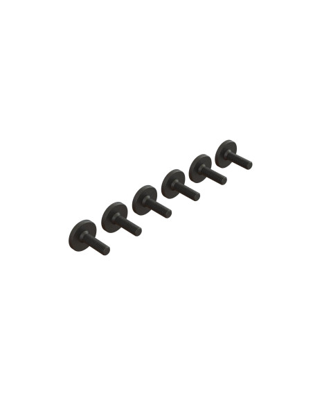 Large Head Screw M3x10mm (6)