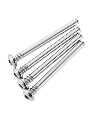 Screw Hinge Pin 2.5x25mm (2)