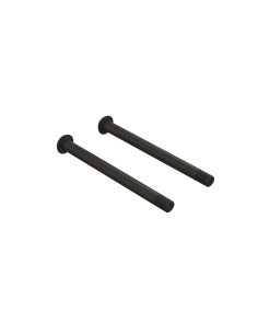 Screw Hinge Pin M3x37mm (2)