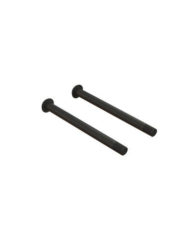 Screw Hinge Pin M3x37mm (2)