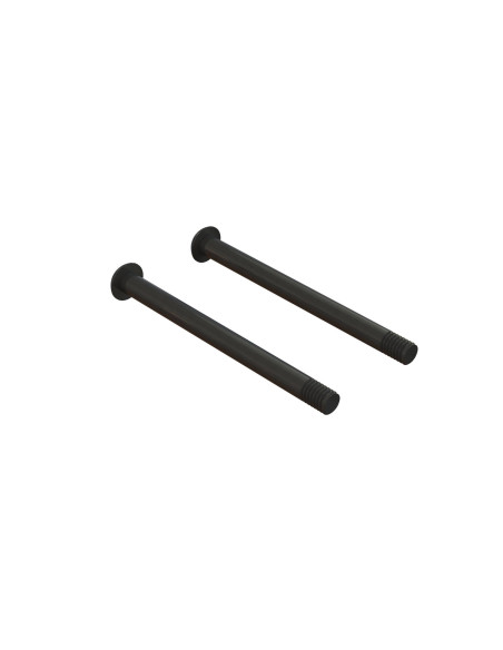 Screw Hinge Pin M3x37mm (2)