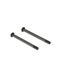 Screw Hinge Pin M4x48mm (2)