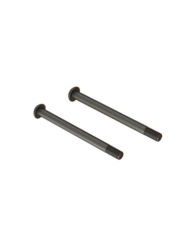 Screw Hinge Pin M4x48mm (2)