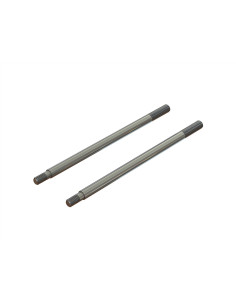 Shock Shaft 3x61mm (2)
