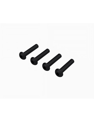 Button Head Screw M4x20mm (4)
