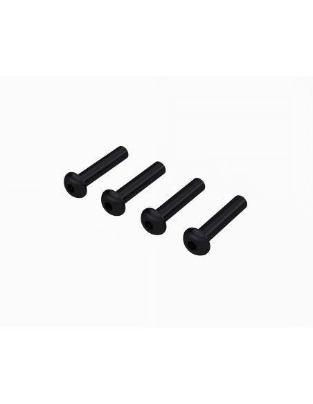 Button Head Screw M4x20mm (4)