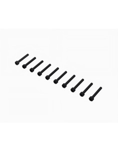 Cap Head Screw M3x22mm (10)