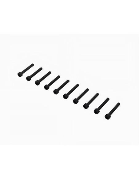 Cap Head Screw M3x22mm (10)