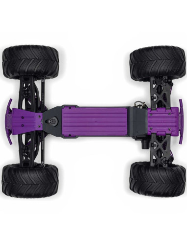 1-10 GORGON 2WD RTR Brushed Monster Truck...