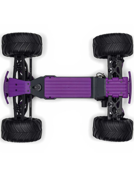 1-10 GORGON 2WD RTR Brushed Monster Truck (Battery & Charger Included)  Purple