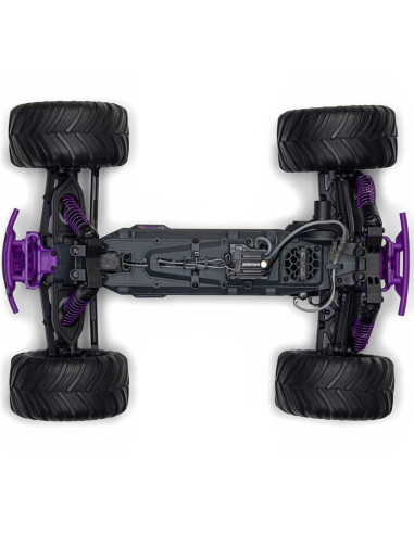 1-10 GORGON 2WD RTR Brushed Monster Truck...