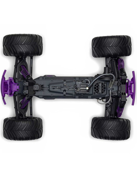 1-10 GORGON 2WD RTR Brushed Monster Truck (Battery & Charger Included)  Purple