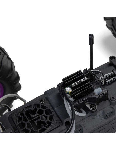 1-10 GORGON 2WD RTR Brushed Monster Truck (Battery & Charger Included)  Purple